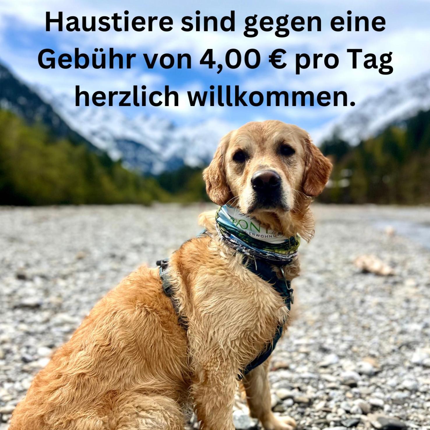 Montana Haus, Fewo A14, A17, B4 Oder C8 Oberstdorf Buitenkant foto